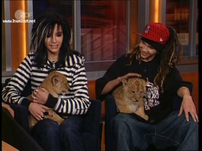bill und tom +leeuwtjes