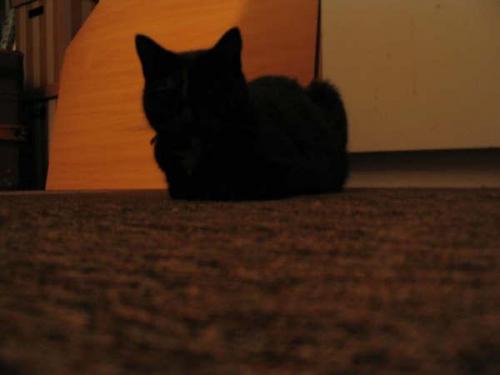 DIT IS KRABBELTJE NET 2 JAAR DOOD!!! not fun!!