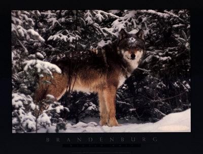 Mij overcoowe kerstkaart xD 