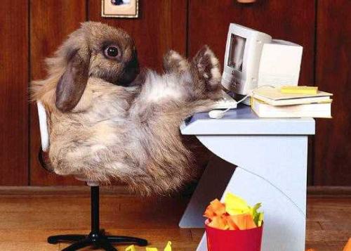 kei lief!!!!!!!!!!!!!!!!!!!!!!!!!!