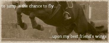 To jump is the chance to fly.. Upon my best friend's wings.