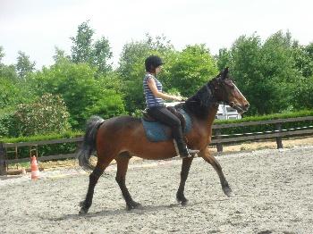 ik op de allerliefste pony die bestaat <3