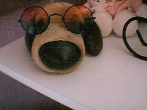 The Dog and bersexy sunglasses :D