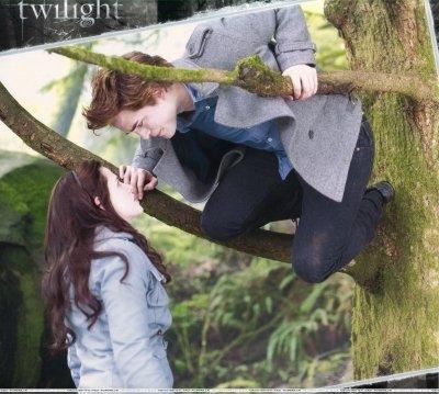 <33 Twilight.