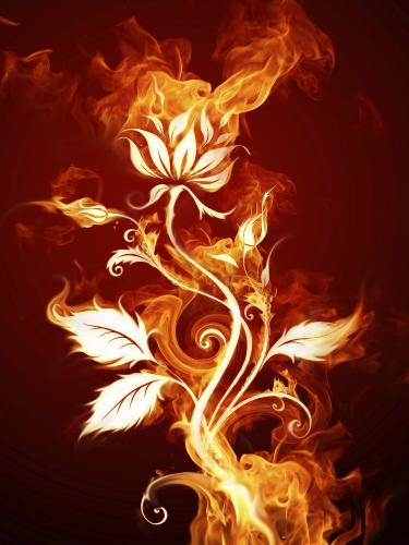 vint ik soon mooir foto