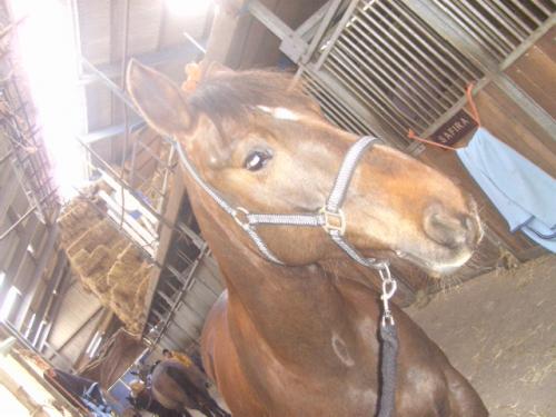 Omdat ik mijn meisje zo erg mis. :(  (H) ik hou van je!