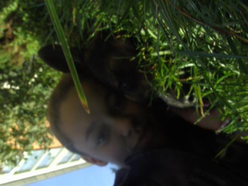 Omdat ik van mn hond hou! (H)__________(H)