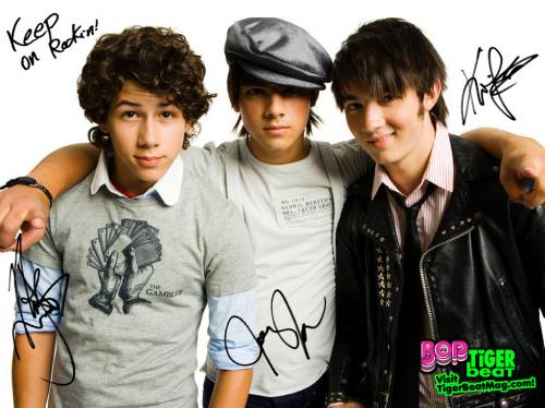 the jonas brothers!!!!! <33