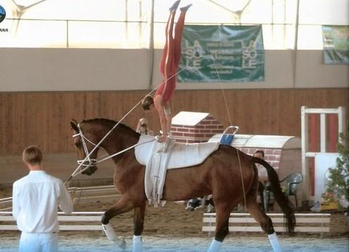 Carola doet handstand op Prix in Italie