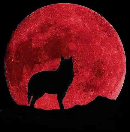 redmoonwolf