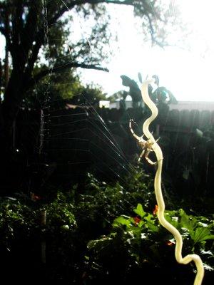 WTFxD een freakin spin die ramen(noedels) eet!!! hij was 2 uur bezig