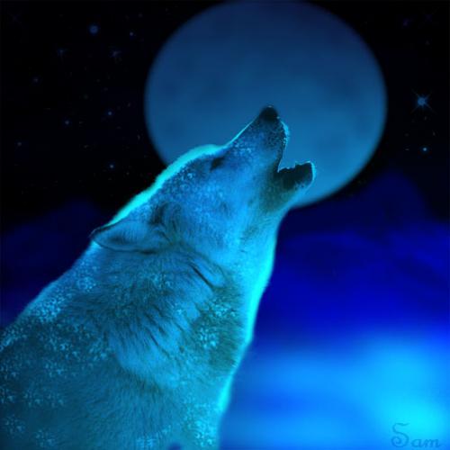 aaaaaaaaaaahhhhhhhhhoooooooooooooo..........