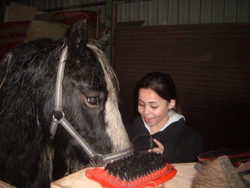 mijn paardje en yo�lle
