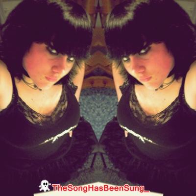 TheSongHasBeenSung_