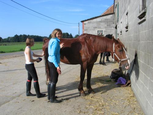 ik met een vriendin die calipso zijn aan het opzadelen
