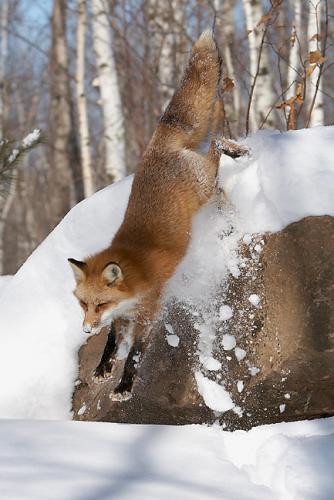 Ietsje voor de crash...