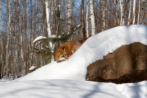 Niks vermoedend... van de crash