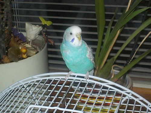 (L) Snoesje i dont forget you You're always in my heart!!