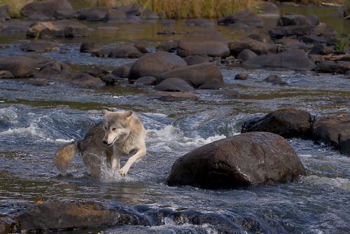 Dit doet me denken aan water met je handen wegslaan