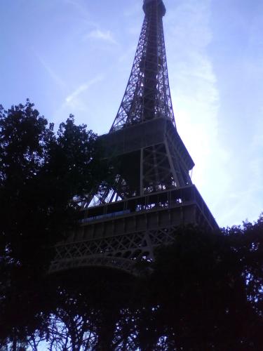 To be seen -Eiffeltoren-