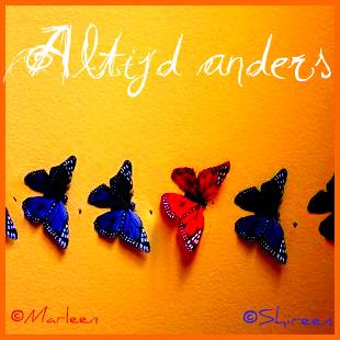 Altijd anders - voor Desolate