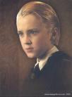 draco rules