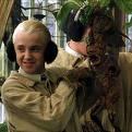 draco rules