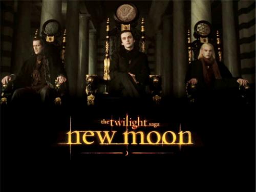 Die stoelen kunnen alleen maar Relaxt zitten :)