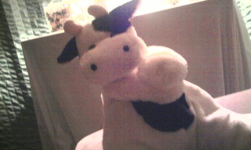 Wat vind je van mijn koe? =D