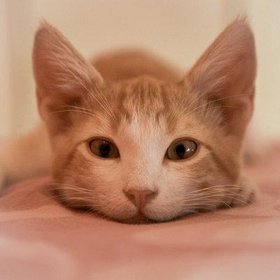 � hoe cute is dat?!