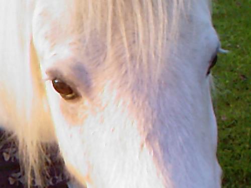 Mijn lieve Chita <33