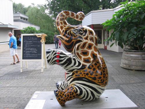 Olifant in Emmen -1-