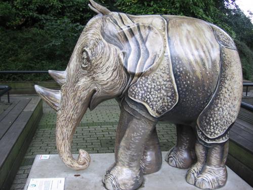 Olifant in Emmen -4-