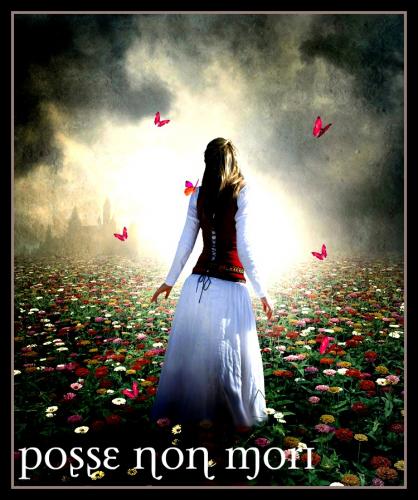 Posse non Mori - Assassin