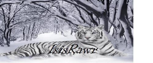 Made By SanderRawr <3