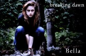 Ik hou heel veel van Twilight dus dat zul je dan ook terug zien!