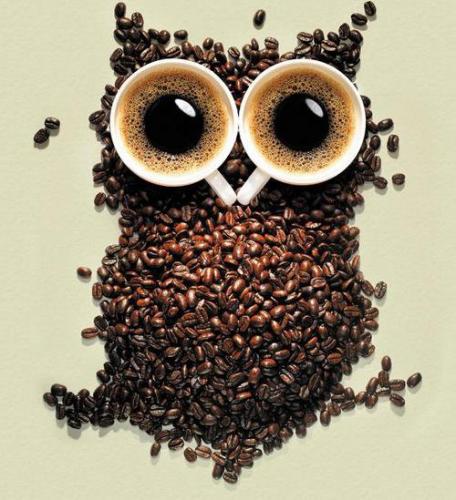 coffee-owl<3
