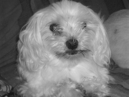 Nouschkaa.. I Miss You !