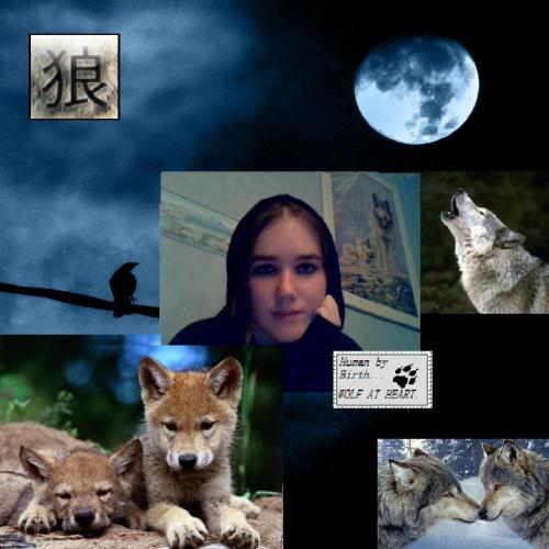 I'm a wolf girl ^^