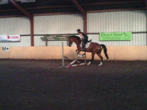 Naturella (mijn paard) en ik