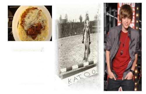 dit zijn men lievlingsdingen(en dieren en mensen)