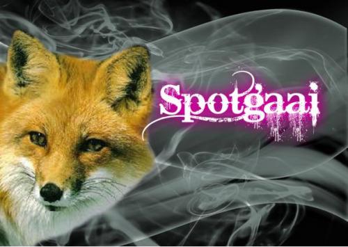 spotgaai