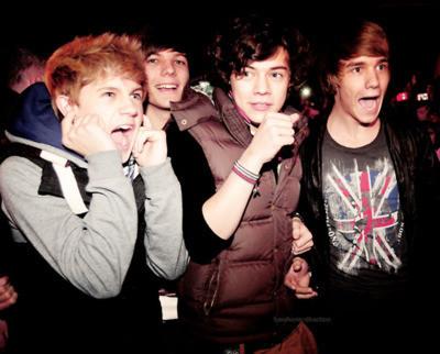 liam and niall...: AAAA FIREWORK!