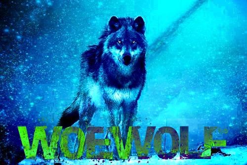 W0EEEEE! WOLF . :3