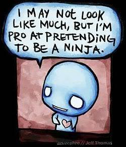I want to be a Ninja, too
