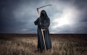 zo zie ik je in me dromen dat is het enigen bild wat ik nog van je heb sorry