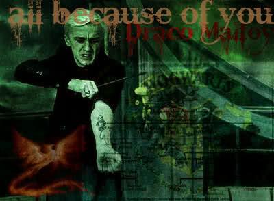 All because of you... Draco Malfoy