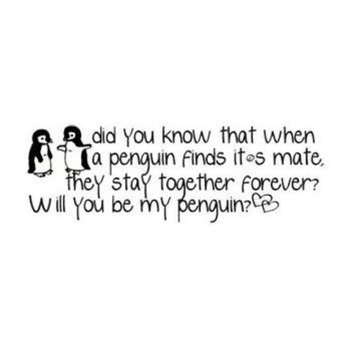 You'll always be my pinguin Frey