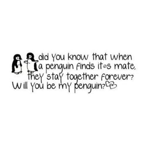 You'll always be my pinguin Frey