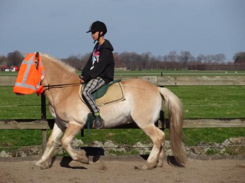 omdat nelson en mus de schrik training niet eng vonden dus dan blinddoek je je paar. Nelson (wel mijn paard)